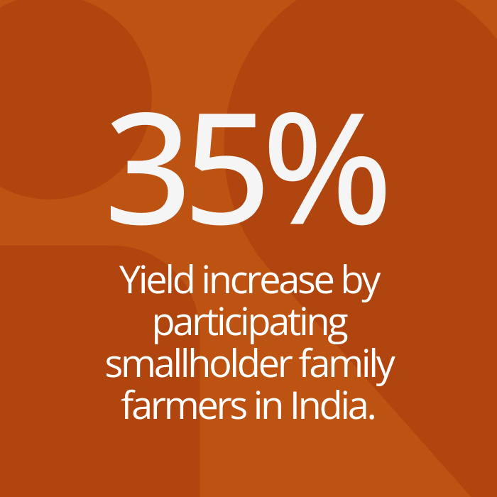 Infographic: 35% increase in yields of key crops by smallholder family farmers participating.
