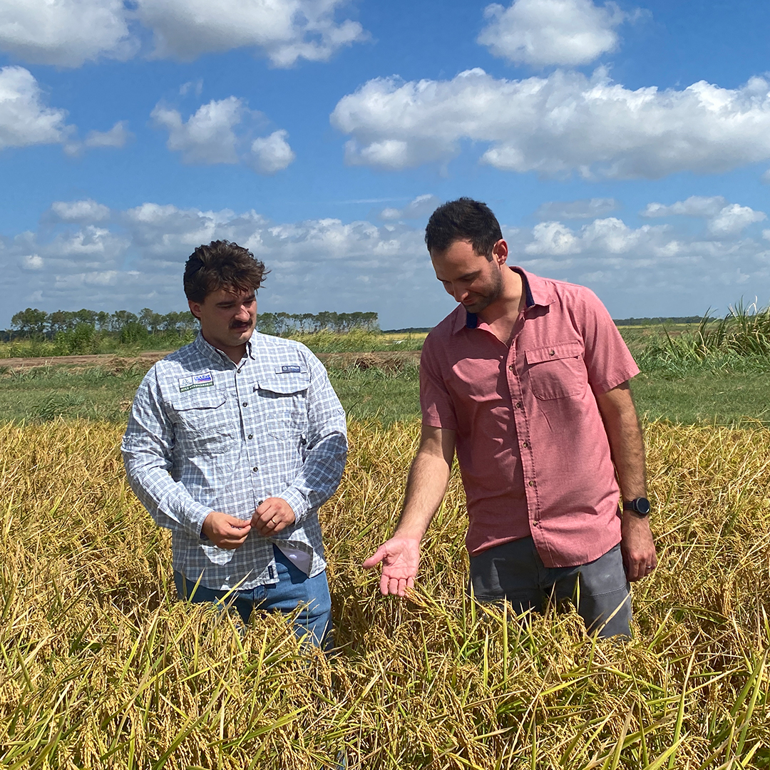 Mosaics foundation commitment to doing more -  Tractor farmer pasture