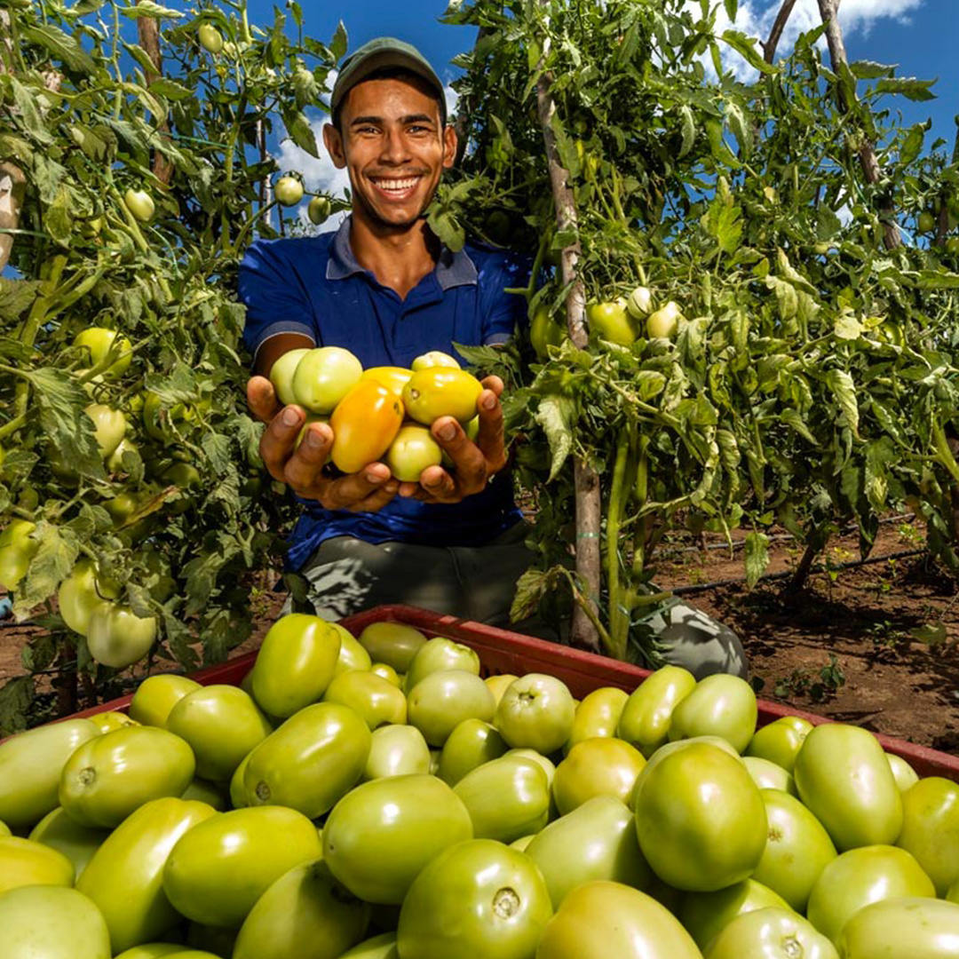 Abstract art by Kelly Sikkema