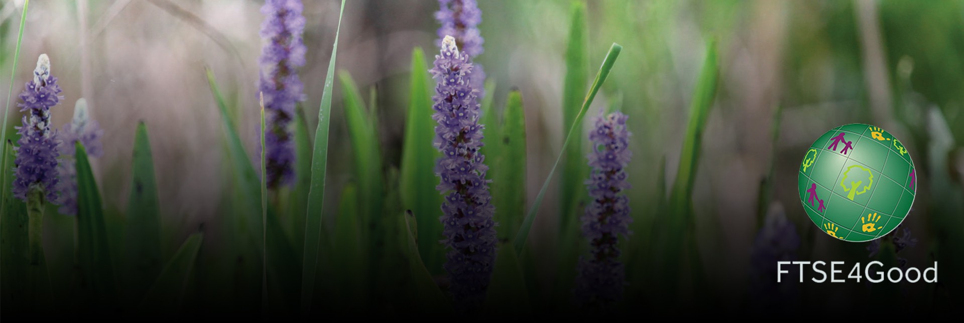 FTSE4Good