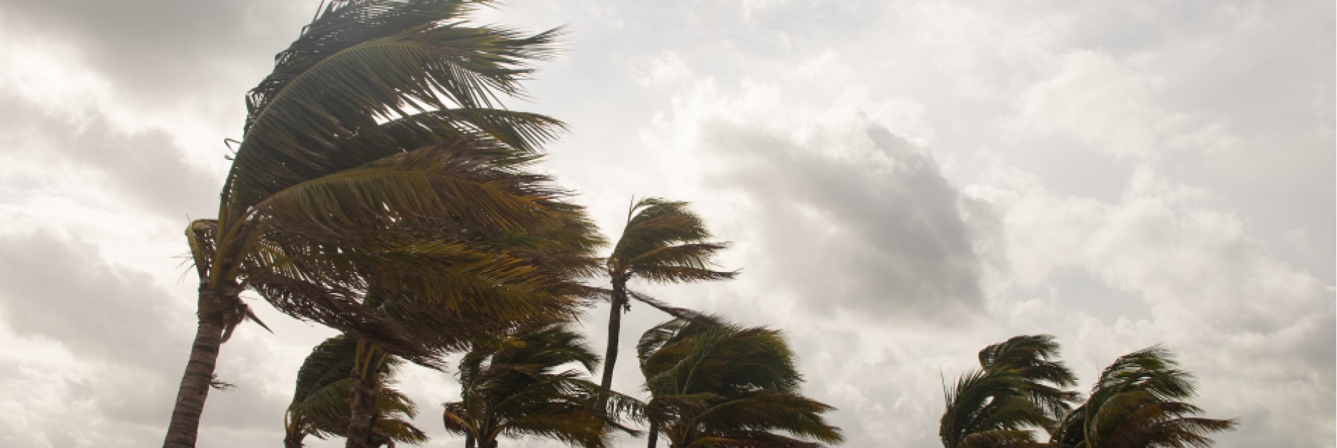 hurricane 2026