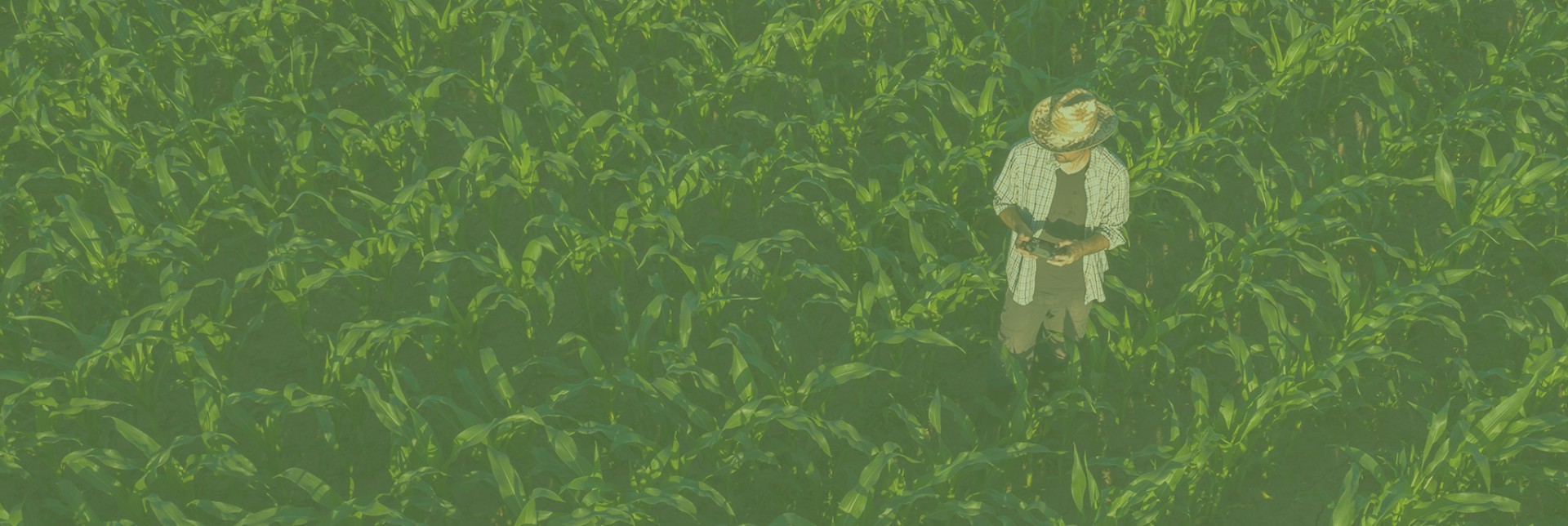 The Mosaic Company Foundation for Sustainable Food Systems