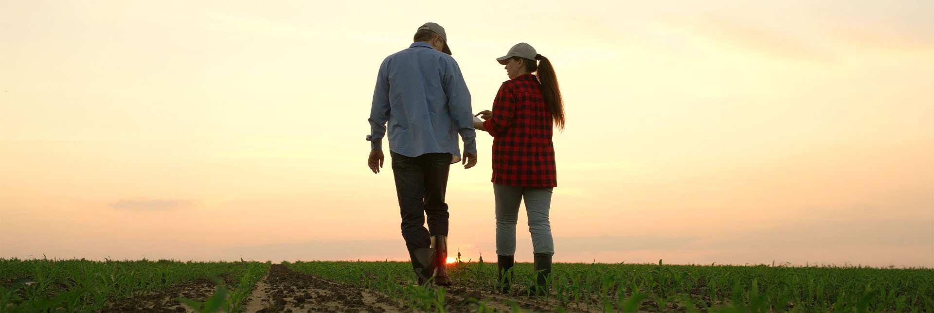 Introducing FarmPath: Making Farming Accessible and Achievable for Future Generations